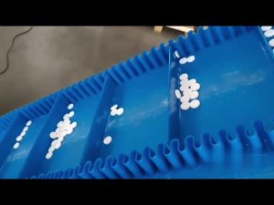 Линия производства прессованных конфет на основе СОМ, сывороточного белка и т.д. (Китай)