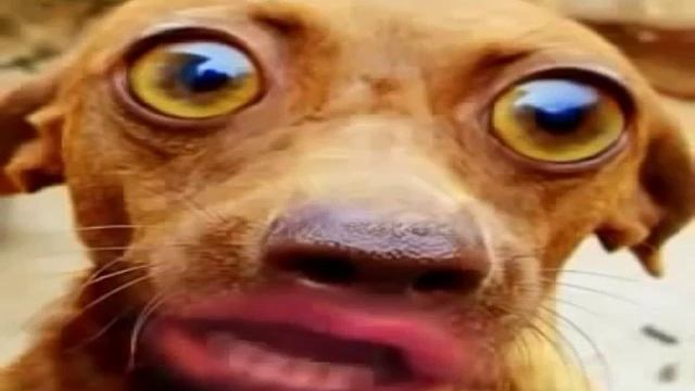 29 января 2016 г. смотреть онлайн