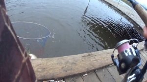 Блесна или резина? На что клюет форель? Мои секреты ловли форели. #рыбалка