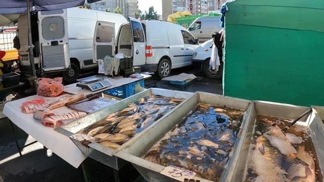 Обзор цен на рыбу. Рынок в Киеве смотреть онлайн