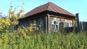 Шиковка сент 2019