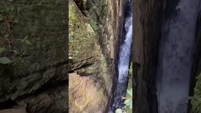 Sri Lanka Sinharaja Tropical Rain Forest Waterfall at Lankagama