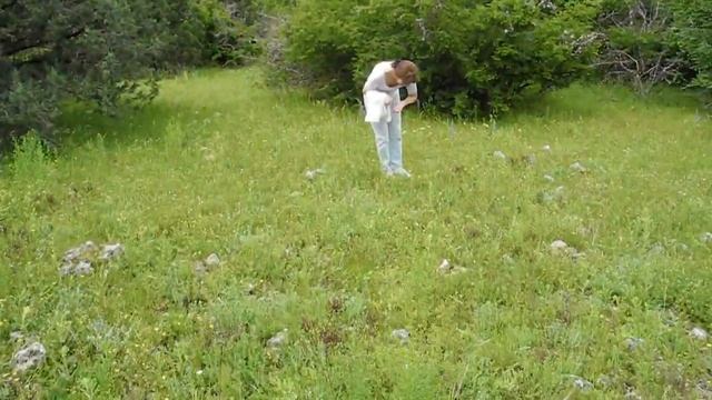 Богомол в Крымских горах - Узунжа, июнь 2011 смотреть онлайн