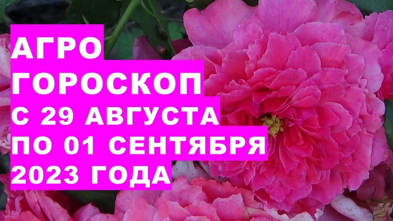 Агрогороскоп с 29 августа по 01 сентября 2023. Agrohoroscope from August 29 to September 01, 2023