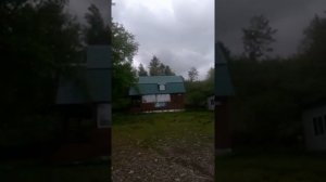 Охота на изюбра ,на солонцах в Бреевке Приморского края.