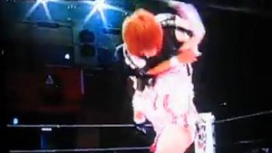 Japanese Women's Wrestling?