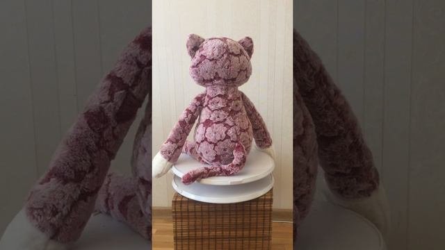 Кот с длинными лапами