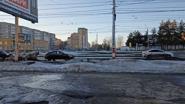 Что ЖРУТ белки/Пенсионеры наконец -то наелись песка)) смотреть онлайн