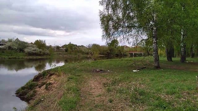 Красивое место дерево нависает над пропастью в месте слияния реки Клязьма и Вохна смотреть онлайн