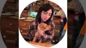 аслан шукаша, стас, ави, юджин (подборка видео с тг)