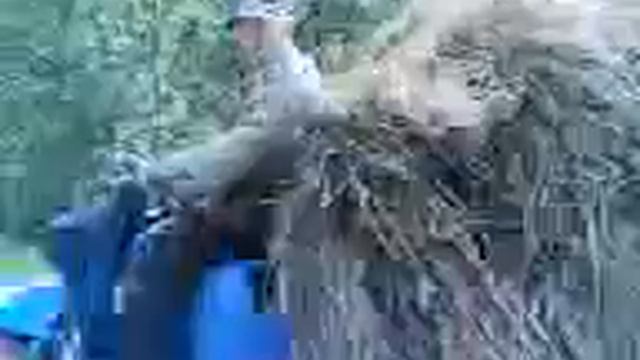 Дед ты горишь.mp4