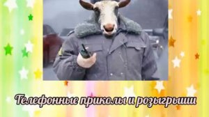 смешные поздравления для друга