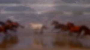 MaximD & Ерболат - Мен Казакпын (Etno remix version)