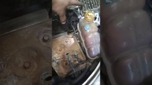 Ремонт Фиат палио