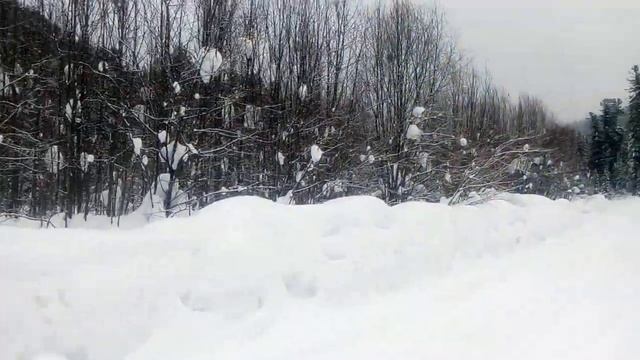 Золото России Артель готовится к добыче золота смотреть онлайн