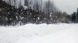 Золото России Артель готовится к добыче золота