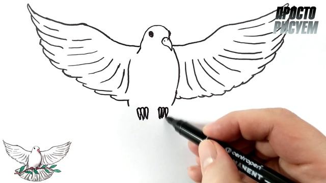 Как нарисовать ГОЛУБЬ МИРА поэтапно смотреть онлайн