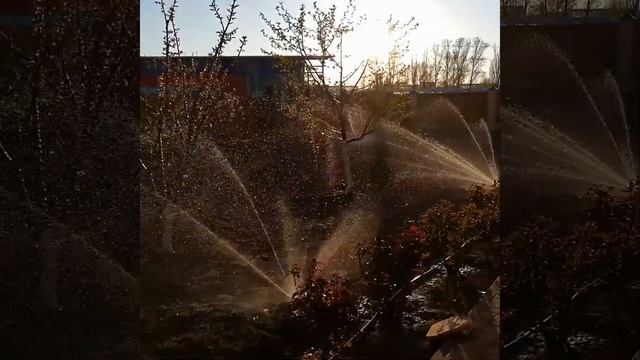 Автополив Ростов-на-Дону смотреть онлайн