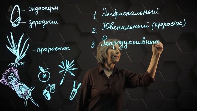 Характеристика онтогенеза растений. 7 класс. смотреть онлайн