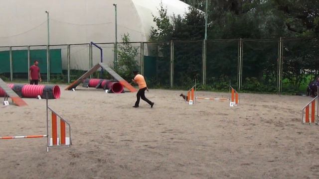 Эстафета. Сборная_S