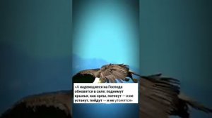 Не запрещай душе летать. Позволь себе больше мечтать.