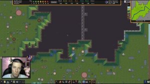 Dwarf Fortress. Гайд для новичков. #3 Кирка, рубка леса и сбор ягод.