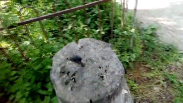 Высокотехнологичные памятники Симферопольского кладбища (Обзор Валерия Крымского( фрагмент))