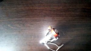 Каида Специалист. Обзор спиннинга.