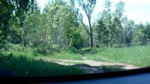 Анастасиевцы? Виссарионовцы? - теперь "Железовцы"!