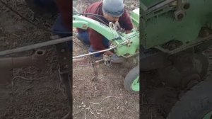 Посев люцерки с овсом вручную под мотоблок