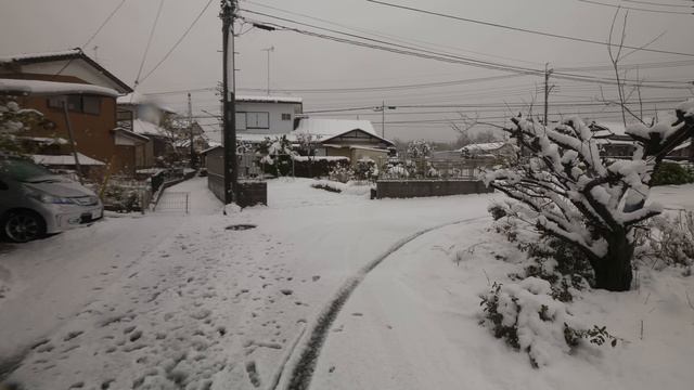 4K・ Сакура в снегу - прогулка по заснеженной Сайтаме смотреть онлайн