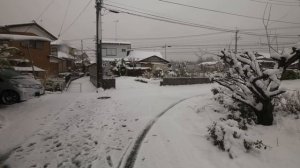 4K・ Сакура в снегу - прогулка по заснеженной Сайтаме