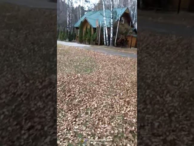 28 октября 2022 г. смотреть онлайн