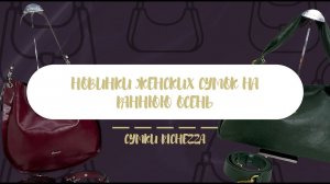 Женские сумки Richezza НОВИНКИ САДОВОД | Июль