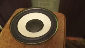 Динамик Technics T17PL07E6