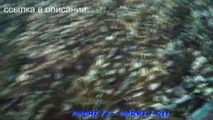 Сетка маскировочная камуфляж