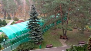 Беларусь. Санаторий Приднепровский.Номер 2 корпус.