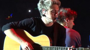 One Direction - Little Things (Niall and Harry focus) - Newcastle Arena 27/10/15