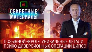 Позывной «Крот»: уникальные детали психо-диверсионных операций ЦИПсО