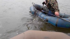 Крупный сазан на 15 кг