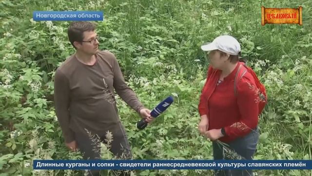 Чёрные копатели разграбили новгородские курганы