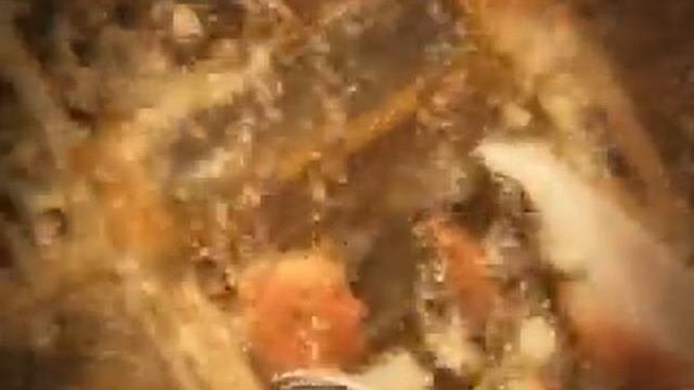 Свадебный клип! Студия Талисман! Воронеж!