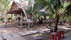 ЭКСКУРСИЯ В ДЕЛЬТУ РЕКИ МЕКОНГ ИЗ ХОШИМИНА. ВЬЕТНАМ 2020.