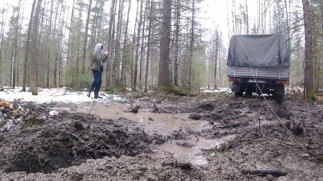Березовый сок, дрова и попадалово. смотреть онлайн