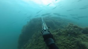 Подводная охота и дайвинг в Чёрном море