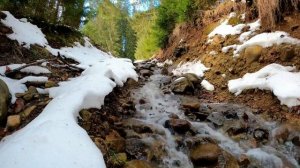 Шум ручья и Звуки весеннего леса.Музыка ранней весны для релакса,сна,медитации.Плеск воды,Пение пти