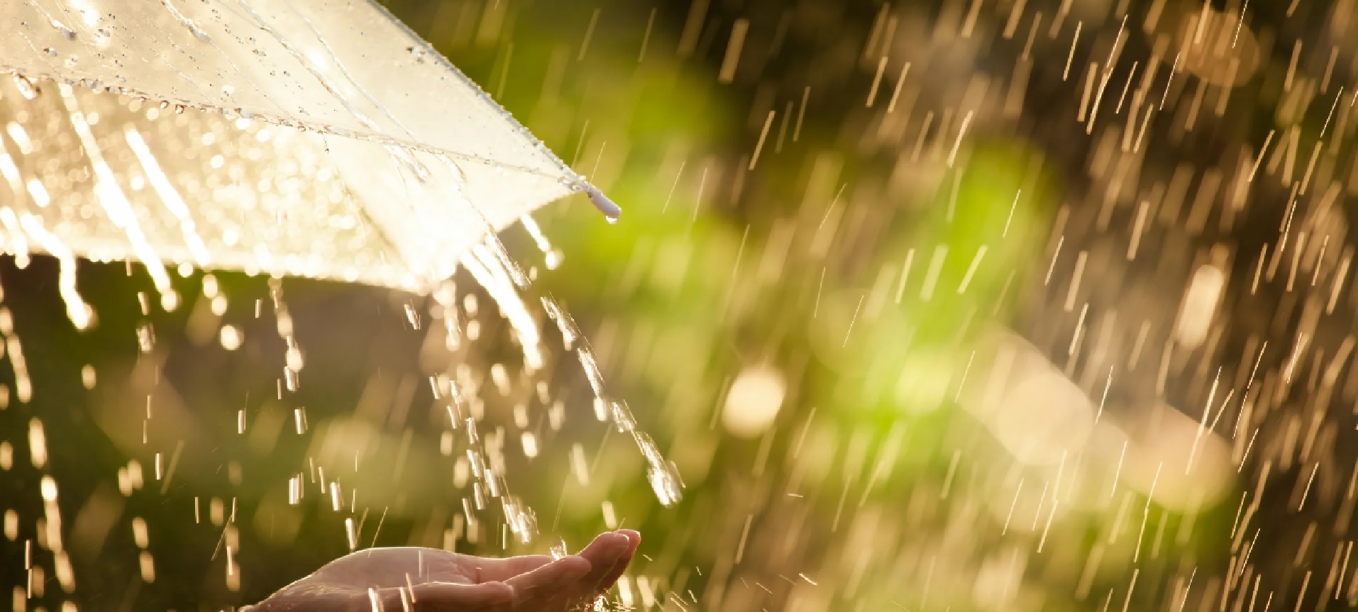 Сергей Ксенофонтов-Махлаев - Летний дождь. смотреть онлайн