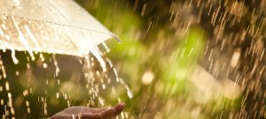 Сергей Ксенофонтов-Махлаев - Летний дождь.