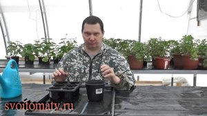 Лучший способ полива и подкормки рассады. Капиллярные маты