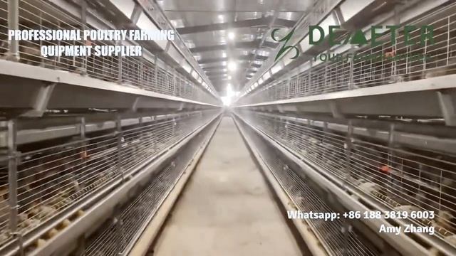 Automatic Broiler Chicken Cage Poultry Battery Cages System for Commercial Farming